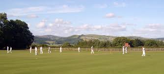 Image result for Bishops Waltham Cricket Club