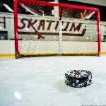 Image result for Havering Skater Hockey Club