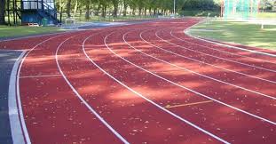 Image result for Vale Of Aylesbury Athletics Club