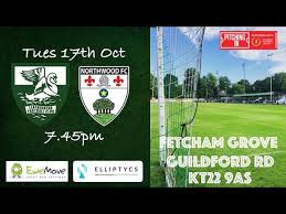 Image result for Leatherhead Football Club