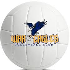 Image result for White Eagles Volleyball Club