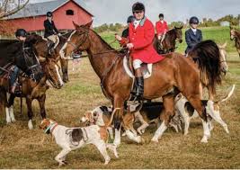 Image result for Huntingdon and District Riding Club