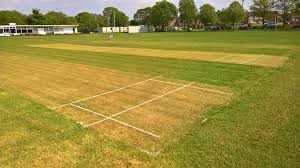 Image result for Cleethorpes Cricket Club