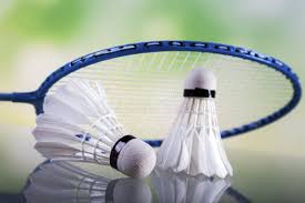 Image result for Flying Rackets Badminton Club