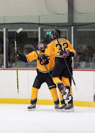 Image result for Perth Junior Ice Hockey Club