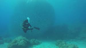 Image result for Tornado Divers