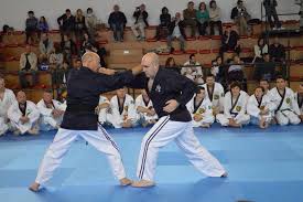 Image result for British Jujitsu Ryu