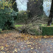 Image result for Blackley Golf Club