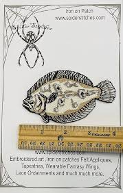 Image result for Paralichthys albigutta