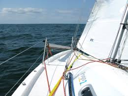 Image result for Pogo minitransat