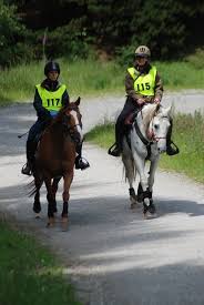 Image result for Civil Service Riding Club (Csrc)