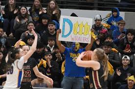 Image result for Barrow Basketball Club