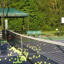 Image result for Reedham Park Sports Club