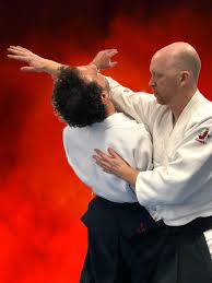 Image result for Goryukai Aikido Yoshinkan (Chichester)