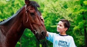 Image result for Beechwood Riding School