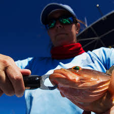 Image result for Bargoed Sea Anglers