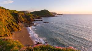 Image result for Ilfracombe Orcas Octopush Club