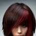 Barbara Dew Garcia (bdgarci) on Pinterest