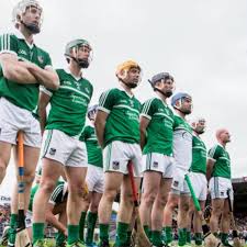 Image result for University Of Limerick Gaa Hurling Club