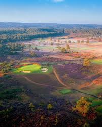 Image result for Hankley Common Golf Club