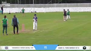 Image result for Denby Cc