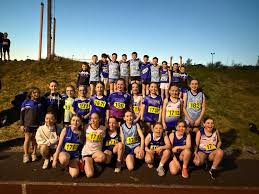 Image result for omagh harriers