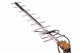 Image result for digitenne yagi