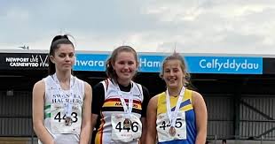 Image result for Pembrokeshire Harriers