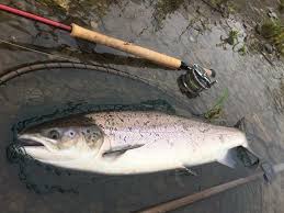 Image result for Swanage & District Angling Club