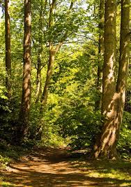 Image result for Tabele de Cubaj Pentru Lemn Rotund tehron