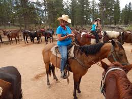 Image result for Cliff Hatch Stables