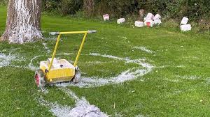 Image result for Rye Bay Football Club