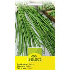 Image result for Schnittknoblauch