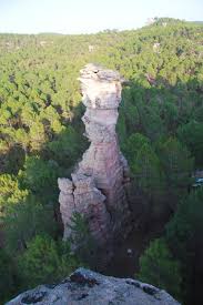 Image result for "Selva Pascuala"