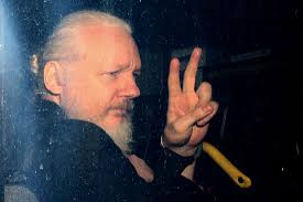 Image result for assange