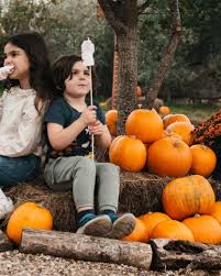 Image result for Roxeth Bowling Club