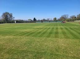 Image result for Ashley Cricket Club