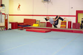 Image result for Tamworth Olympic Gymnastics Club