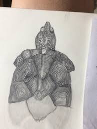 Attēlu rezultāti vaicājumam “Lycogala alisaulianovae young”