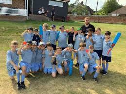 Image result for Hadleigh Cricket Club