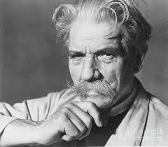Image result for albert schweitzer