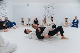 Image result for Macclesfield Dojo