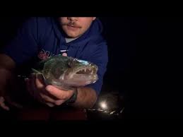 Image result for Annbank Angling Club