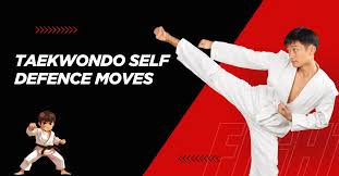 Image result for Tkd Self Defense