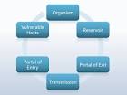 What is the Chain of Infection? « Contagions