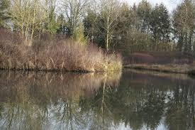 Image result for Heemtuin Rucphen