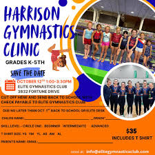 Image result for Elite Recreational Gymnastics Club