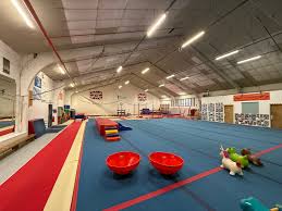 Image result for Hinckley Gymnastics Club