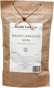 Attēlu rezultāti vaicājumam “Ledum palustre fruit”