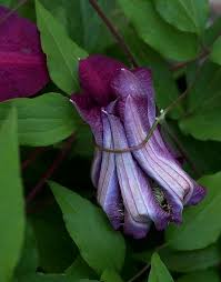 Image result for epl1 20mm night site:flickr.com